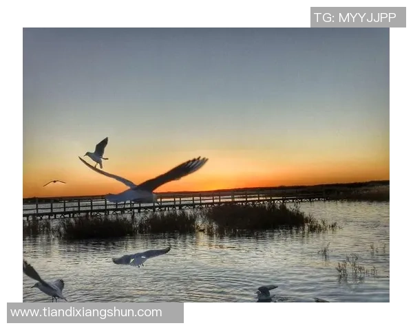 帅哥头像与足球明星的动漫世界探秘，展现青春热血与梦想追逐的完美结合