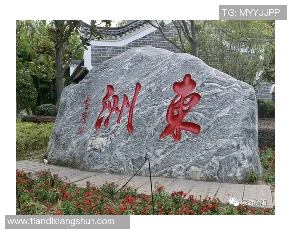 足球明星游戏中的甲亢歌词带你领略激情与梦想的交融之旅