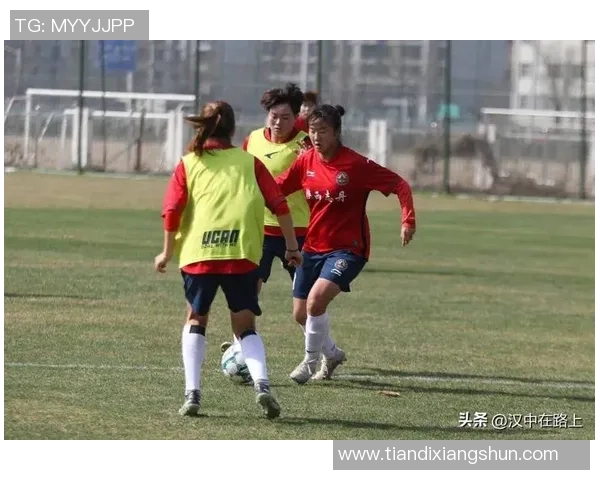 中国女足球明星的崛起与成就探索及其对足球发展的影响