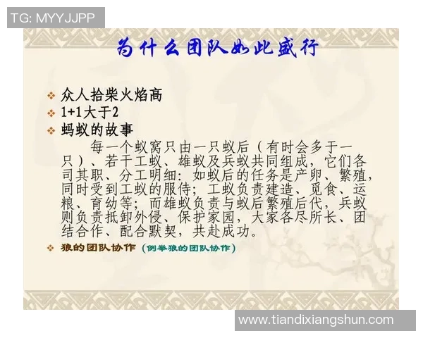 武汉乒乓球队与广州乒乓球队赛后复盘团队协作的成功与不足分析