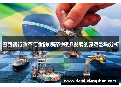 巴西银行改革与金融创新对经济发展的深远影响分析