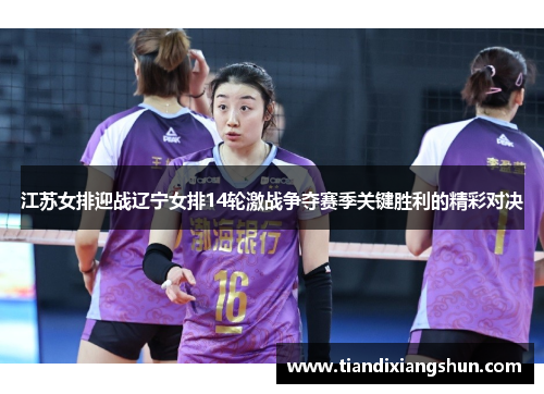 江苏女排迎战辽宁女排14轮激战争夺赛季关键胜利的精彩对决