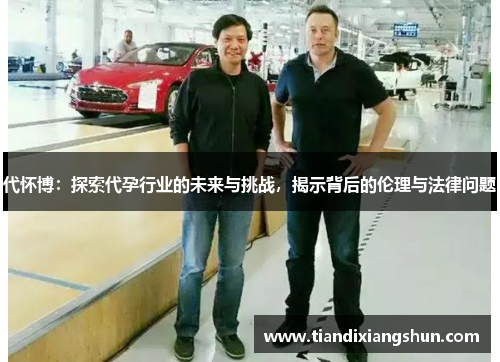 代怀博：探索代孕行业的未来与挑战，揭示背后的伦理与法律问题