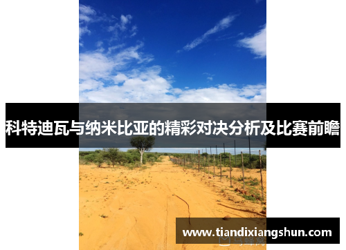 科特迪瓦与纳米比亚的精彩对决分析及比赛前瞻